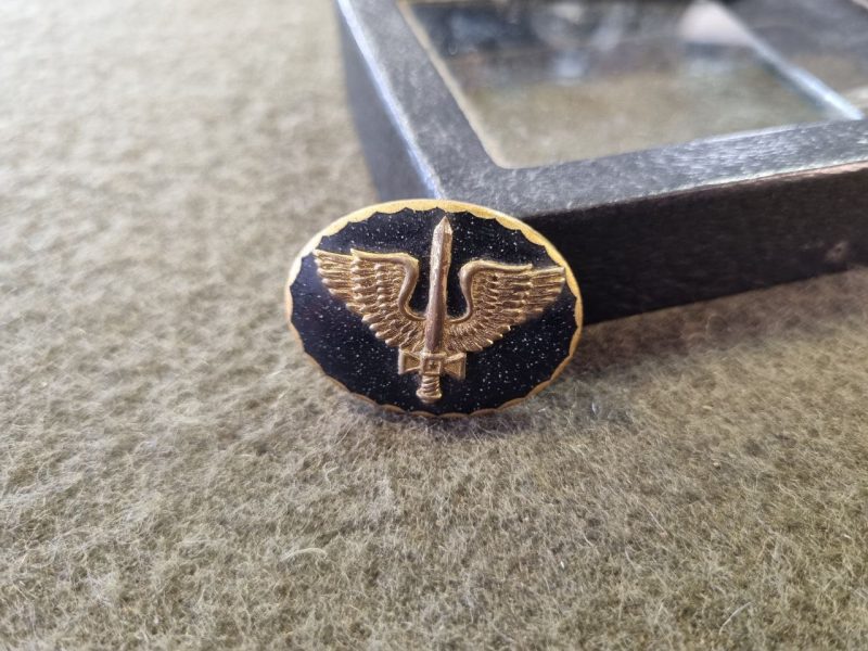 BRA - Pin FAB Anos 50