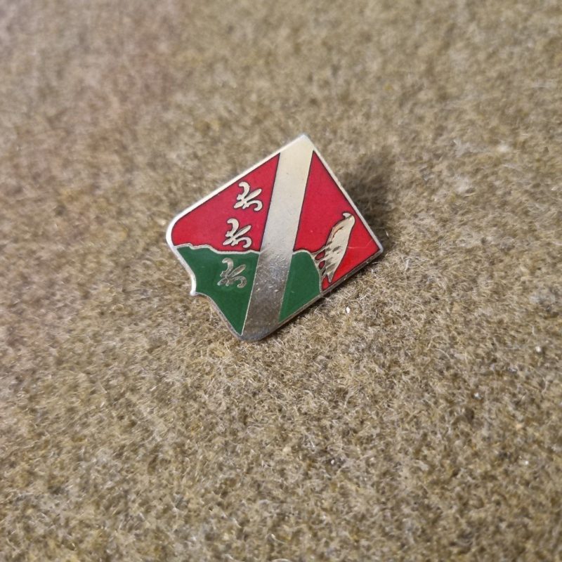 USA - Pin 113th Artillery Regiment